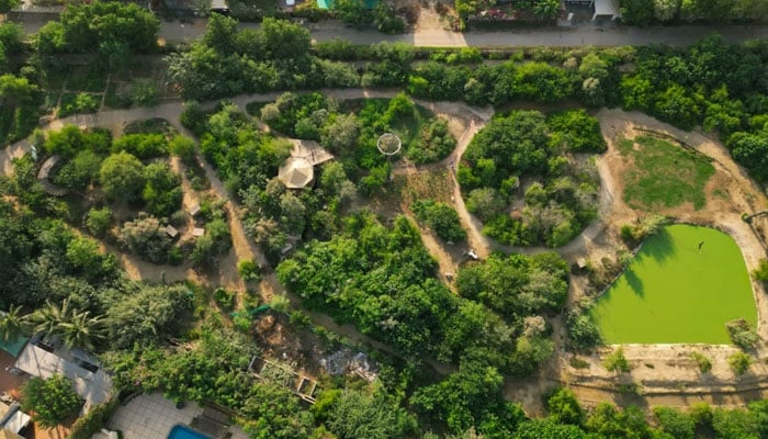 An aerial view of the Clifton Urban Forest in Karahi.— Sugiproject website/file