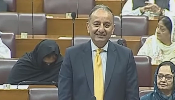 Minister for Water Resources Mr Musadik Masood Malik speaks in the National Assembly on September 3, 2024. — Screengrab via Facebook/NA OF PAKISTAN