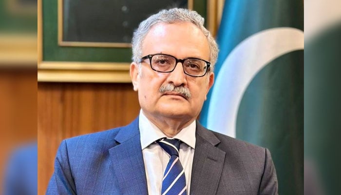 Newly-appointed member of the Federal Public Service Commission (FPSC) Muhammad Syrus Sajjad Qazi seen in this image. — MOFA Website/File