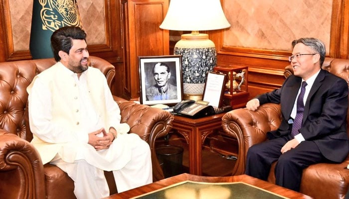 Sindh Governor Kamran Khan Tessori exchange views with Chinese Ambassador to Pakistan Jiang Zaidong during a meeting at the Governor House on September 5, 2024. — X/@KamranTessoriPk