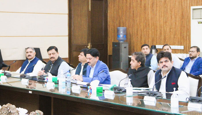 Participants are discussing a matter during the 25th meeting of the Provincial Development Working Party (PDWP) CFY 2024-25. — FAcebook/Planning & Development Board, Govt. of the Punjab