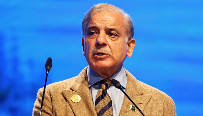 Prime Minister Shehbaz Sharif speaks during the COP27 climate summit in Egypts Red Sea resort of Sharm el-Sheikh, Egypt November 8, 2022. — Reuters