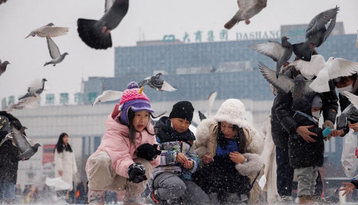 Children feed pigeons in Harbin, Heilongjiang Province, China, February 10, 2023. — Reuters