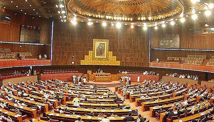 An undated image of the National Assembly hall. — The News/File