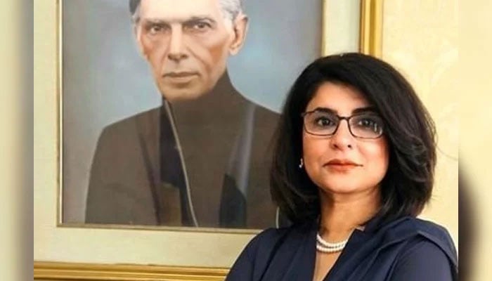 Pakistan’s new Foreign Secretary Amna Baloch seen in this image. — X/@amnabaloch4/File