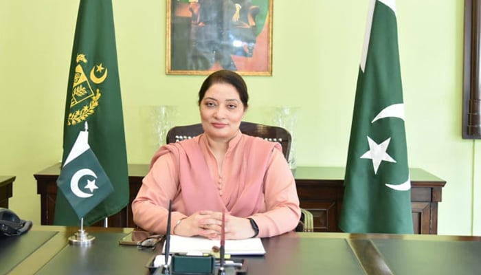 Coordinator to the prime minister on climate change Romina Khurshid Alam seen in this image. — Ministry of Climate Change and Environmental Coordination, Government of Pakistan.Website/File