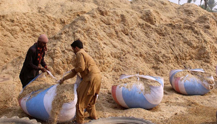 Two people are stuffing straw into a sack with their hands. — APP/File