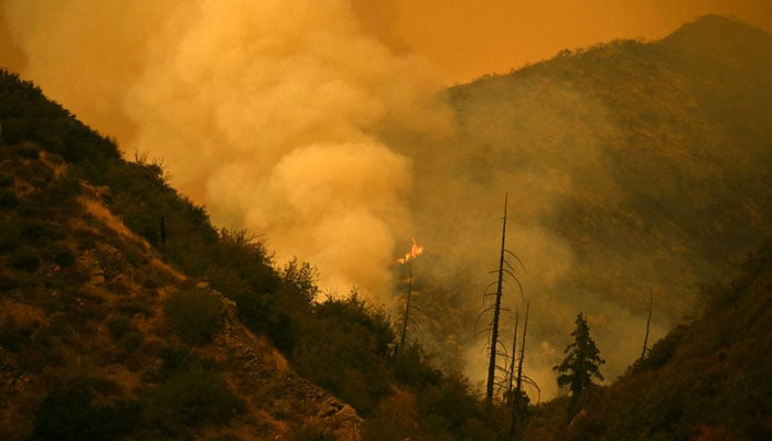 Smoke billows as the Line Fire burns off of Highway 38, north of Yucaipa, California on September 9, 2024. — AFP