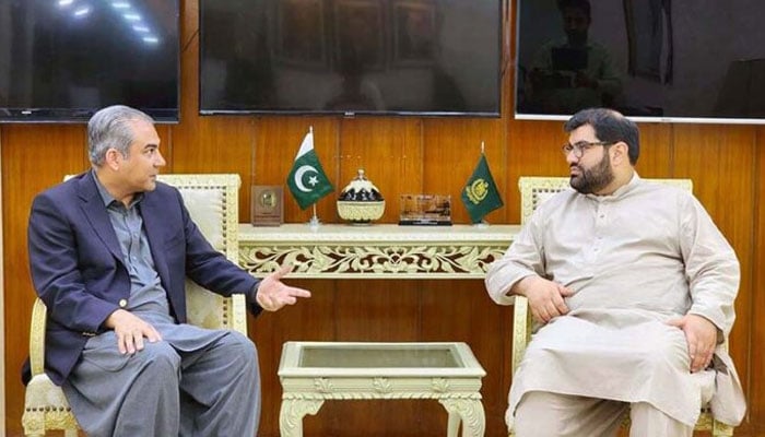 Interior Minister Mohsin Naqvi in a meeting with President Awami National Party Senator Aimal Wali Khan.— APP/file