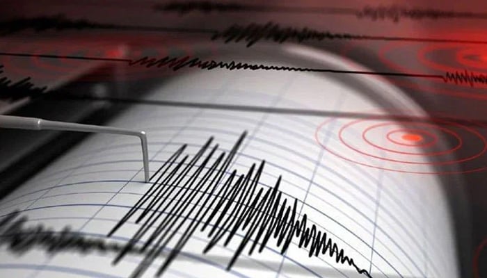 A representational image showing Richter scale readings during an earthquake. — AFP/File