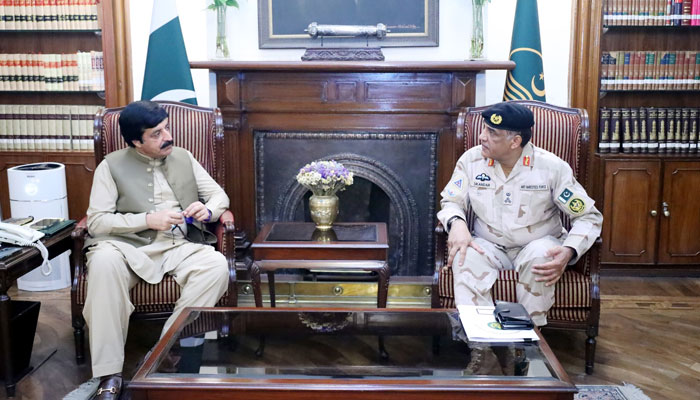 Punjab Governor Sardar Saleem Haider Khan in a meeting with Regional Director Commander Anti-Narcotics Force Punjab, Brigadier Sikandar Hayat Chaudhry on September 12, 2024. — Facebook/Sardar Saleem Haider Khan