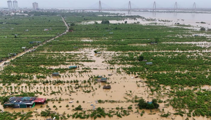 Floodwaters caused by Typhoon Yagi seen to have destroyed crops across north Vietnam.— AFP/file