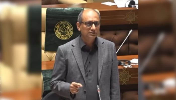 Sindh Local Government Minister Saeed Ghani is expressing his views in Sindh Assembly regarding the destruction of Karachi roads due to heavy rains in Karachi city September 2, 2024. — Screengrab/Facebook/@SaeedGhaniPPP