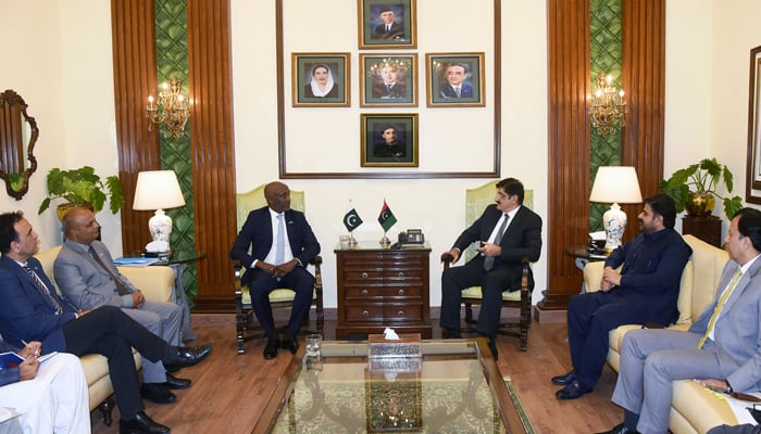 Sindh Chief Minister Syed Murad Ali Shah meets with a United Nations delegation led by Resident and Humanitarian Coordinator Mohamed Yahya at the CM House and others are seen in this image released on September 13, 2024. — Facebook/@SindhCMHouse