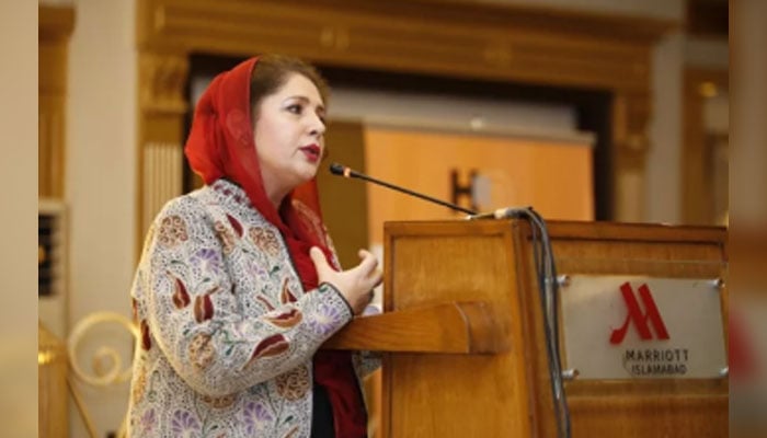 HRDN Executive Director Robeela Bangash speaks at an event. — HRDN Website/File