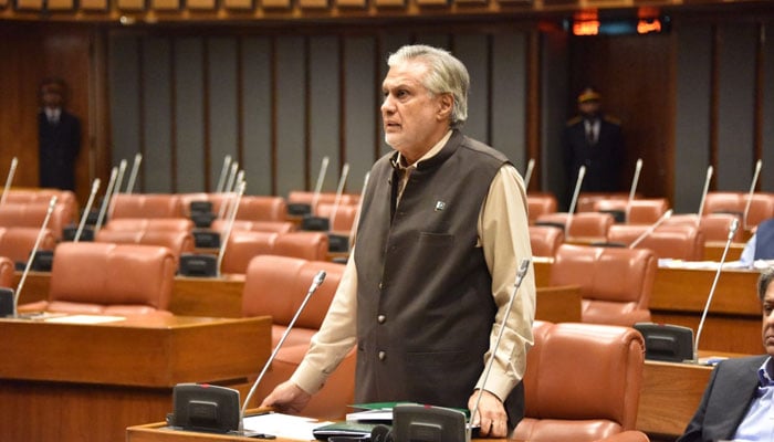 Deputy Prime Minister Muhammad Ishaq Dar speaks in the Senate on September 14, 2024. — Facebook/Senate of Pakistan