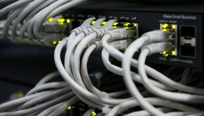 Ethernet cables used for internet connection are seen at an office. — Reuters/File