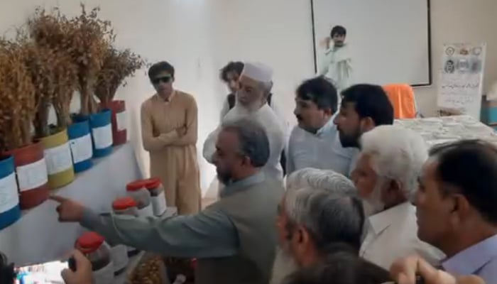 Minister of Agriculture KP Sajjad Barkwal is looking at the potted plants for the complete upgradation of Ahmedwala Agricultural Research Station on September 15, 2024. — Screengrab/Facebook/@AgricultureKP