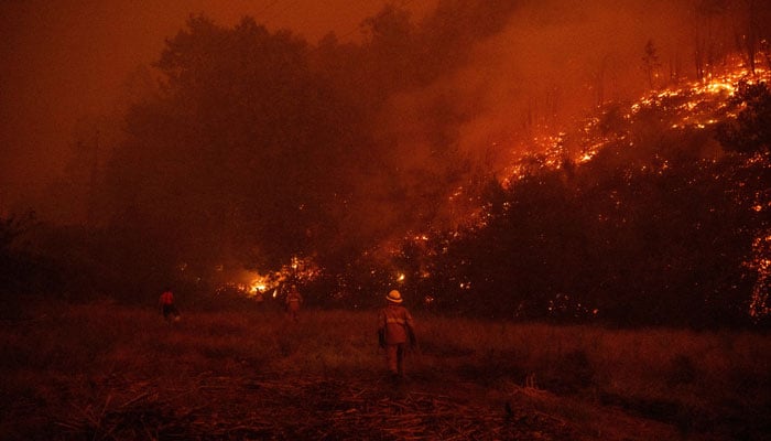 Firefighters try to extinguish a wildfire burns at Ribeira de Fraguas, Albergaria-a-Velha in Aveiro on September 16, 2024. — AFP