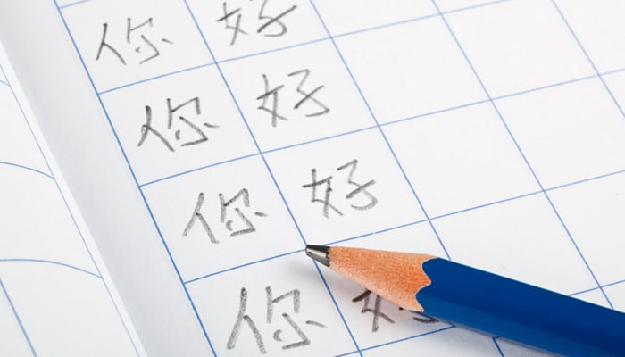 A representational image of Chinese language course can be seen in this image. — X/@CGMeifangZhang/File