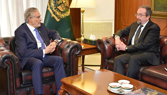 Deputy Prime Minister Ishaq Dar (left) meets with US Under Secretary of State John Bass at his office in Islamabad on September 16, 2024. — NNI