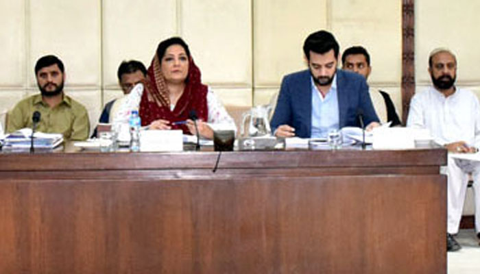 Senator Anusha Rahman Ahmad Khan, Chairperson of the Senate Standing Committee on Commerce, presides over a committee meeting at the Parliament House in Islamabad on September 16, 2024. — APP