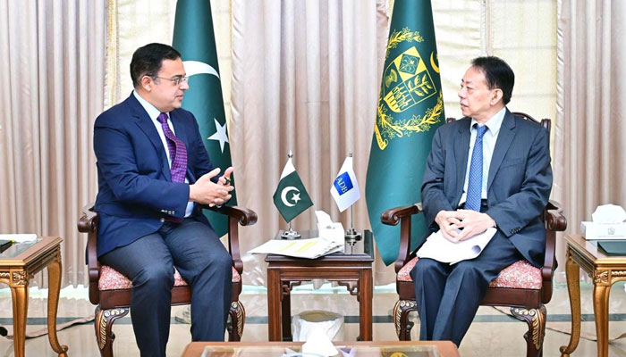 The President of the Asian Development Bank Masatsugu Asakawa is in a meeting with Minister for Economic Affairs Ahad Cheema in Islamabad on September 16, 2024. — APP