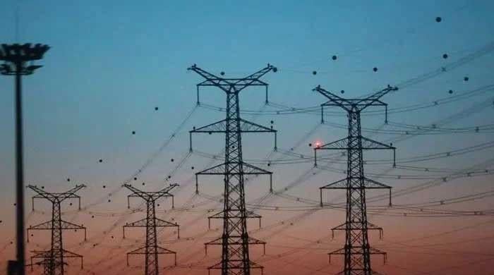 Revision of IPPs contracts should be included in constitutional amendment draft: PBF