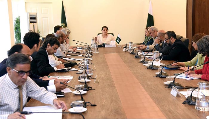 Prime Ministers Coordinator on Climate Change and Environmental Coordination Romina Khurshid Alam addressing a meeting of development partners regarding preparation for COP29 on September 18, 2024. — APP