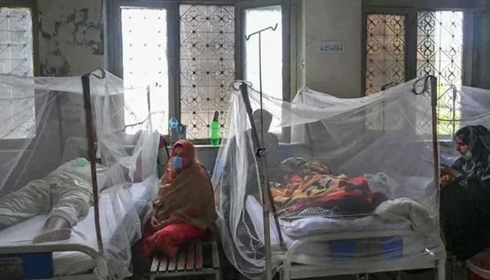 Relatives are sit next to patients suffering from dengue fever at a hospital. — AFP/File