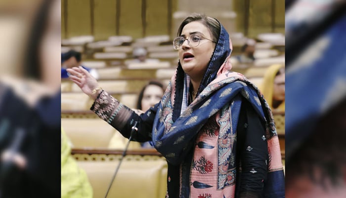 Punjab Minister for Information and Culture Azma Bokhari addresses the assembly members in the Punjab Assembly session on June 29, 2024. — Facebook/Azma Bokhari