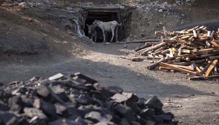 Donkeys stand at the entrance of a coal mine in Choa Saidan Shah, Punjab province, May 5, 2014. — Reuters