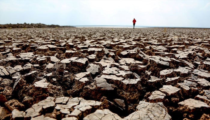 A person walks along cracks at the partly dried up Devegecidi Dam, northwest of drought-stricken Diyarbakir, Turkey October 29, 2021. Picture taken October 29, 2021. — Reuters