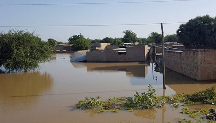 Homes are submerged in water after a massive flood in Ndjamena, Chad, October 14, 2022. — Reuters