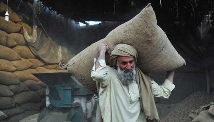 A representational image of a labourer carrying a sack on his back. — AFP/File