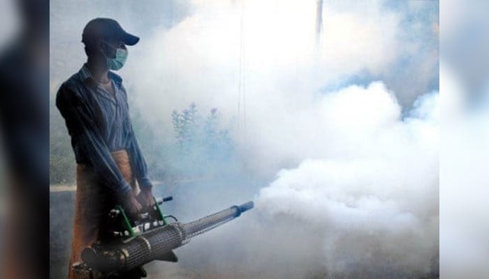 In this image, a worker sprays on the streets. — APP/File