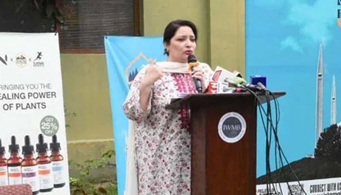 Coordinator to the Prime Minister on Climate Change and Environmental Coordination, Romina Khurshid Alam addresses an even on April 28, 2024. — APP