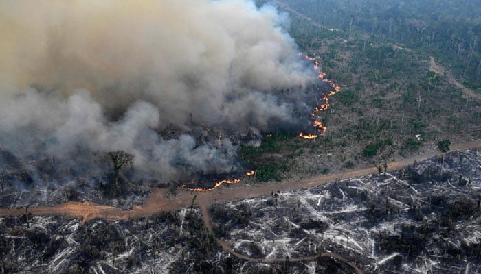 Aerial view of an area of the Amazon rainforest deforested by illegal fire in the municipality of Labrea, Amazonas State, Brazil, taken on August 20, 2024. — AFP