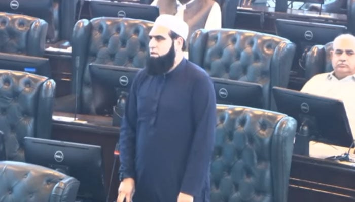 Special Assistant to Chief Minister for Housing Dr Amjad Ali speaks in the KP Assembly on September 23, 2024. — Screengrab via Facebook/Dr Amjad Ali