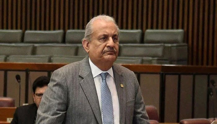 PPP leader Raza Rabbani addresses a Senate session. — NNI/File