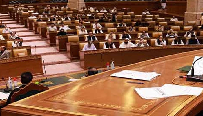 An undated image of Punjab Assembly session in Lahore. — State media/File