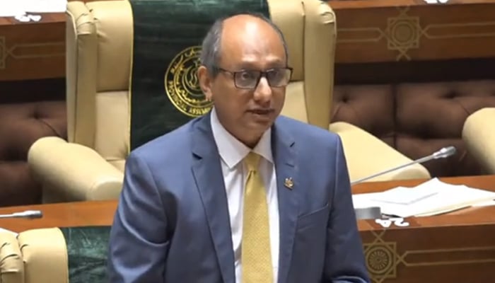 Sindhs local government Minister Saeed Ghani speaking at Sindh assembly Karachi seen in this image on September 24, 2024. — Screengrab/Facebook/@SaeedGhaniPPP