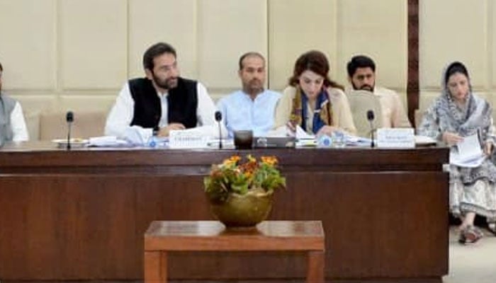 Chairman of the Senate Standing Committee on Interior Faisal Saleem Rehman presides over a meeting at Parliament House Islamabad on September 24, 2024. — Senate of Pakistan