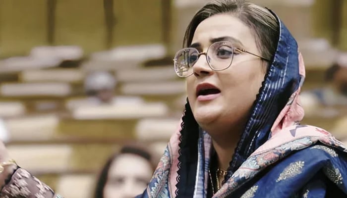 Punjab Information Minister Azma Bokhari is speaking in the Punjab Assembly seen in this image released on June 29, 2024. — Facebook/@AzmaBokhariPMLN