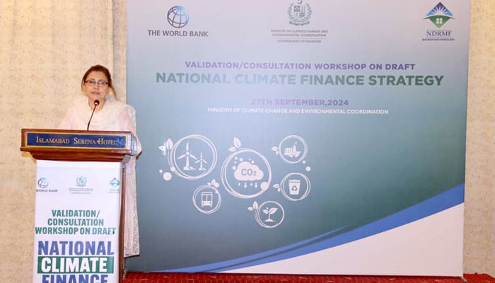 Secretary Ministry of Climate Change, Aisha Humera Ch addressing a workshop on National Climate Finance Strategy on Sepmteber 27, 2024. —  APP