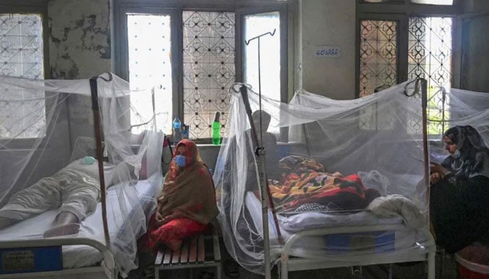 Relatives sit next to patients suffering from dengue fever resting under a mosquito net at hospital. —  AFP/File