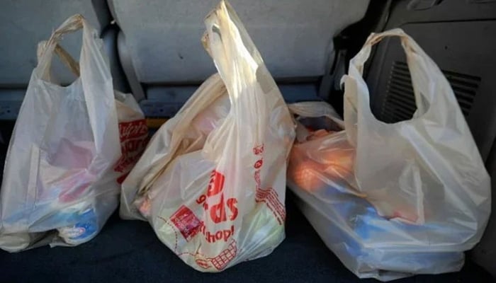 This image shows plastic bags. — AFP/File