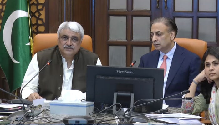 Minister for Specialised Healthcare Khawaja Salman Rafique and Punjab Chief Secretary Zahid Akhtar Zaman presided over a meeting on Oct 1, 2024. — Screengrab via Facebook/SalmanRafiquePK