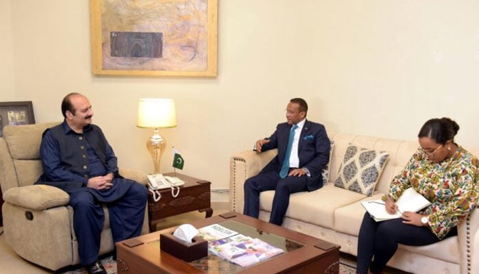 Ethiopian Ambassador Jamal Bakr Abdullah calls on Rana Mashood Ahmed Khan, the Chairman of the Prime Minister Youth Programme, on Oct 1, 2024. — APP