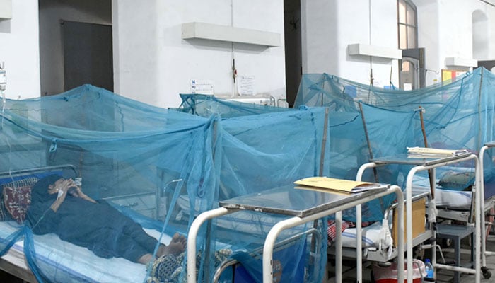 Patients suffering from dengue fever being treated at a hospital in Lahore on October 8, 2023. — Online